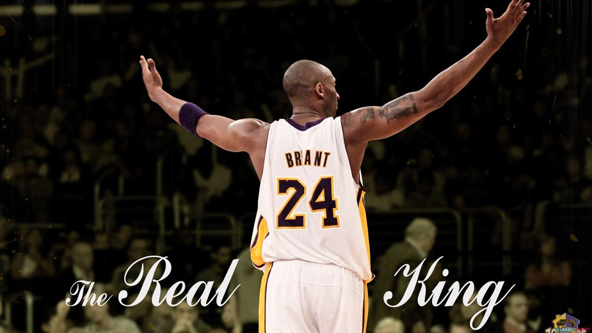 _世界青年网球论坛:未来运动发展的风向标_,网球近年发展趋势